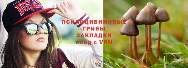 прущие крисы Алагир