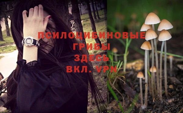 эйфоретик Баксан