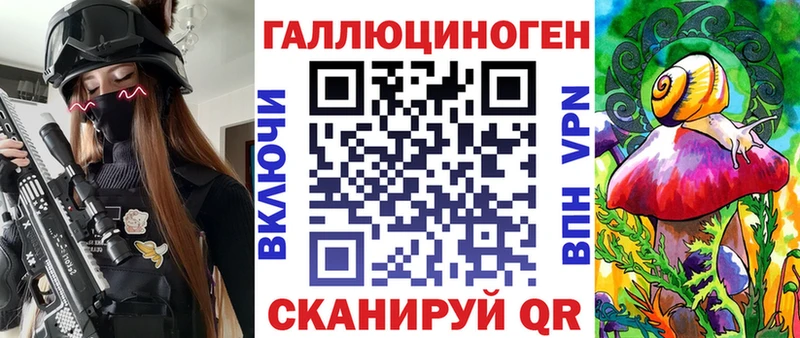 Галлюциногенные грибы Psilocybine cubensis  где найти   Дагестанские Огни 