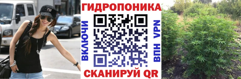 Каннабис марихуана  Дагестанские Огни 